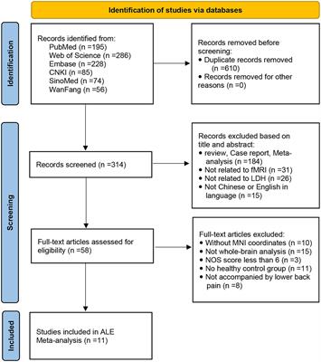 Altered spontaneous brain activity in lumbar disc herniation patients: insights from an ALE meta-analysis of neuroimaging data